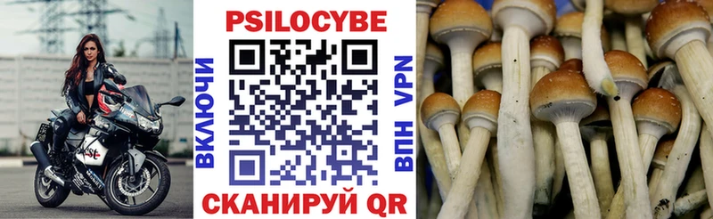 что такое наркотик  Сыктывкар  Псилоцибиновые грибы прущие грибы 