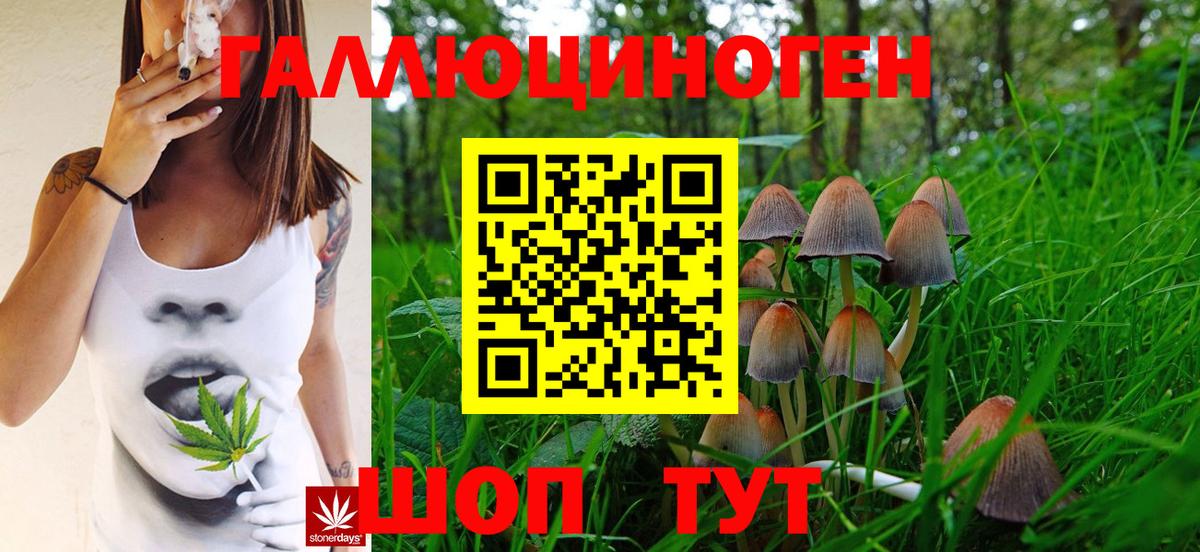 Псилоцибиновые грибы мухоморы  Вход с VPN  Сыктывкар 