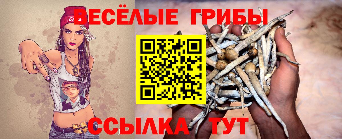 NBOMe Сыктывкар
